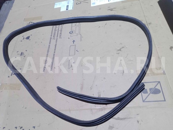 Уплотнитель двери Renault Sandero I (2009—2014) Renault 14 оригинальный номер 8200733161