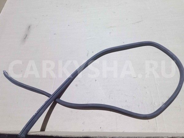 Уплотнитель двери Kia Rio III рестайлинг (2015—2017) Kia Rio оригинальный номер 831204Y200