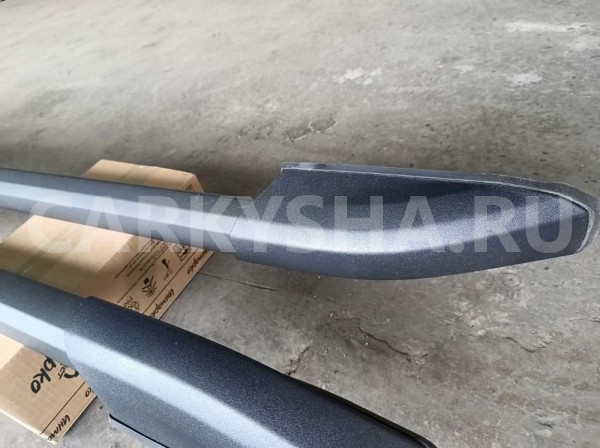 Оригинальные рейлинги Tank 300 Tank 300 оригинальный номер 5709500XKM01A