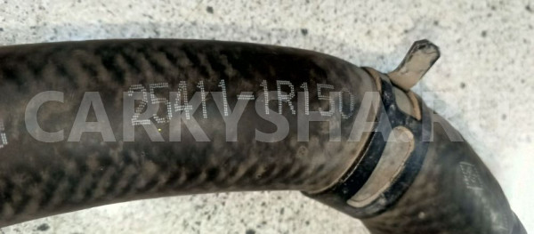 Патрубок радиатора Kia Rio III (2011—2015) Kia Rio оригинальный номер 254111r150