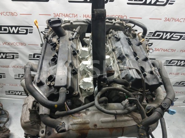 Двигатель Nissan Stagea 