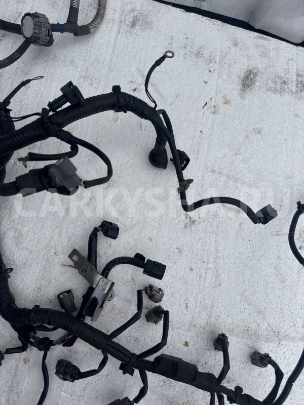Проводка двс Nissan Qashqai J10 2.0 cvt Nissan Qashqai оригинальный номер 24011jd04b