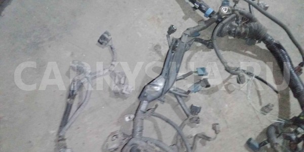 Проводка (коса) Toyota Land Cruiser 100 (1998—2002) Toyota Land Cruiser оригинальный номер 821216A010