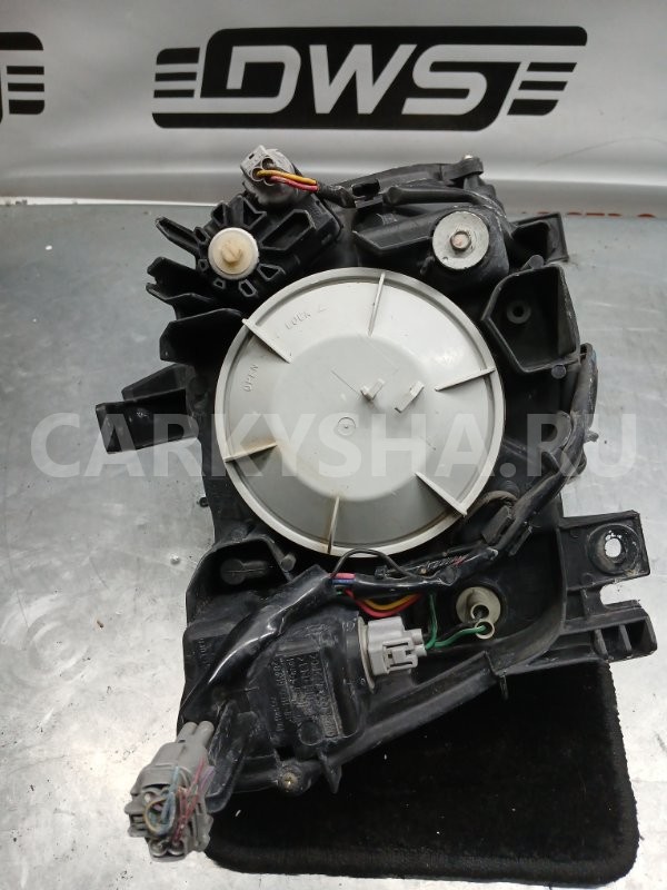 Фара Nissan Stagea 