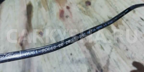 Трубка топливная Ford Focus III (2011—2015) Ford Focus оригинальный номер AV619D668BB