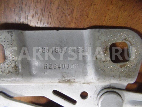 Петля капота Mercedes-Benz GL-класс X164 рестайлинг (2009—2012) Mercedes-Benz G-klasse оригинальный номер A2518800428