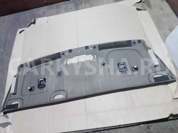 Полка Chevrolet Epica I рестайлинг (2008—2012) Chevrolet Epica оригинальный номер 96817473